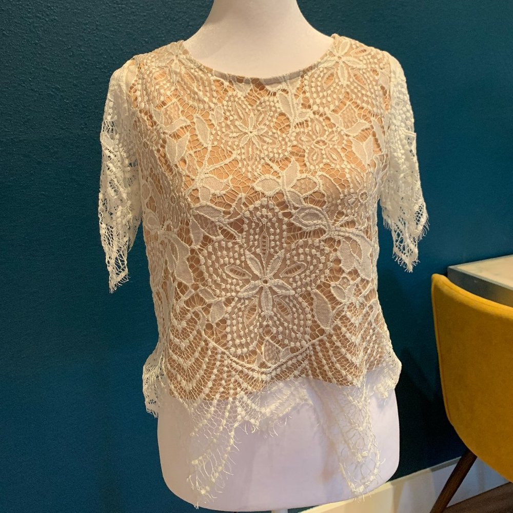 NWT Express Size XS White and Tan Lace Cropped Blouse